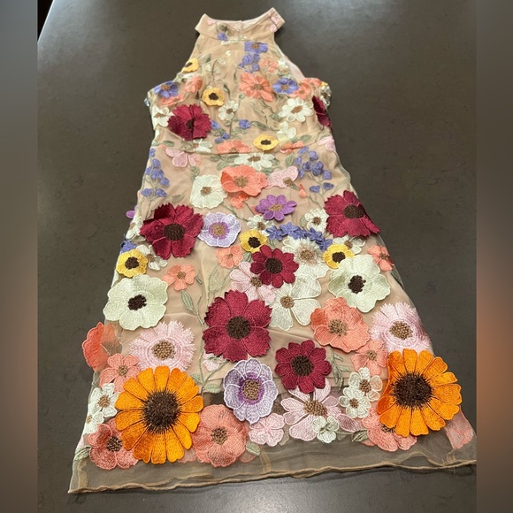NWT 3-Dimensional Embroidered Floral Sheer Halter Mini Dress Sz: XS - Picture 5 of 16